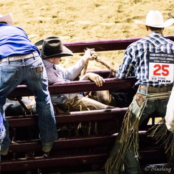 Rodeo cowboy getting ready to ride a bull.