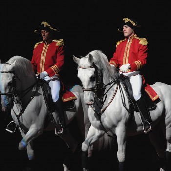 Two Lipizzaner stallions being ridden during a horse show.