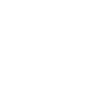 Pepsi Logo